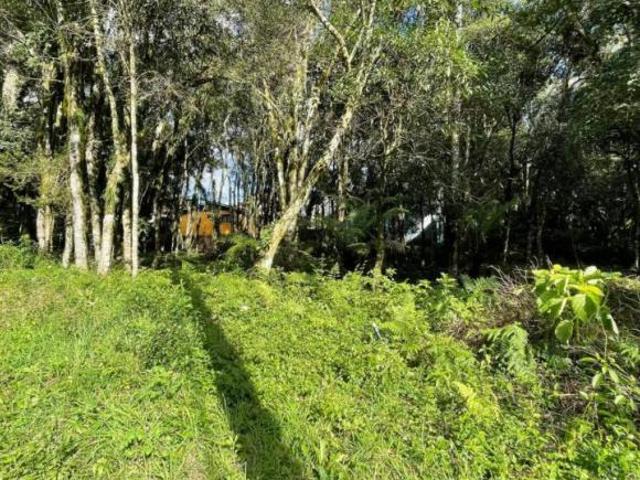 Terreno venda em Região Geográfica Imediata de Caxias do Sul, Gramado