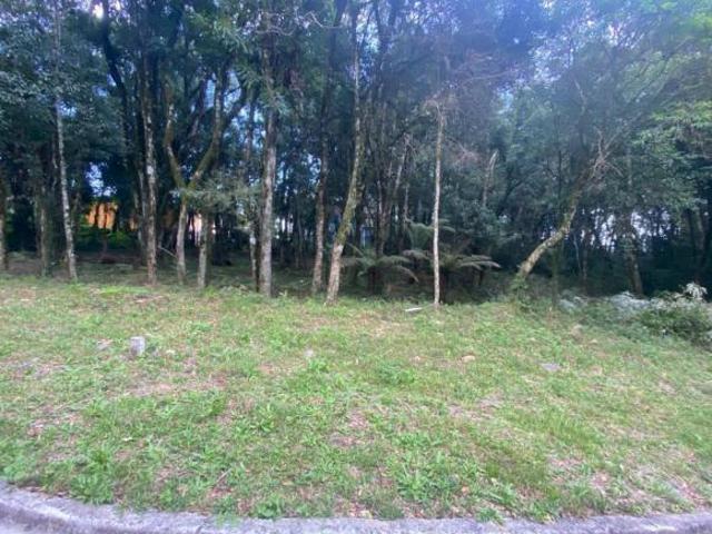 Terreno venda em Região Geográfica Imediata de Caxias do Sul, Gramado