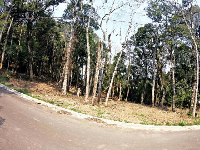 Terreno venda em Região Geográfica Imediata de Caxias do Sul, Gramado