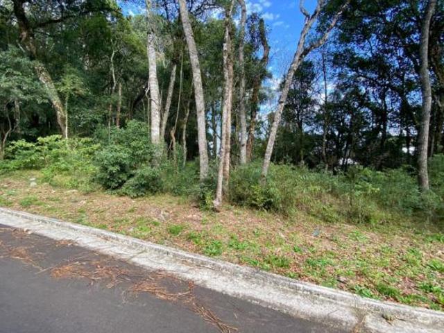 Terreno venda em Região Geográfica Imediata de Caxias do Sul, Gramado