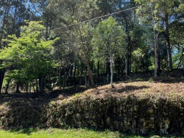 Terreno venda em Gramado