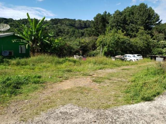 Terreno venda em Gramado