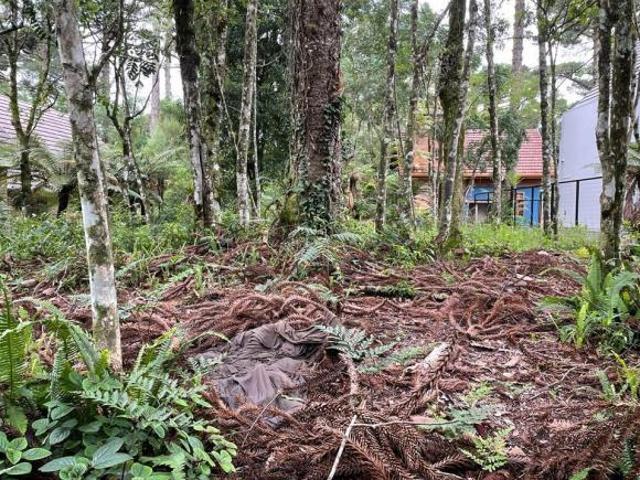 Terreno venda em Região Geográfica Imediata de Caxias do Sul, Gramado