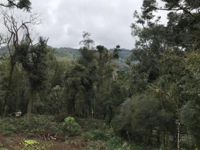 Terreno venda em Região Geográfica Imediata de Caxias do Sul, Gramado