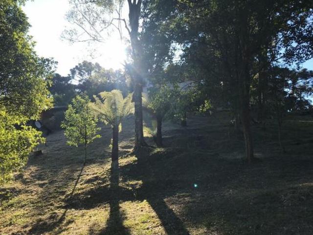 Terreno venda em Gramado