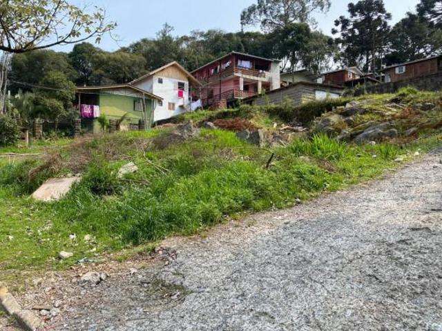 Terreno venda em Gramado
