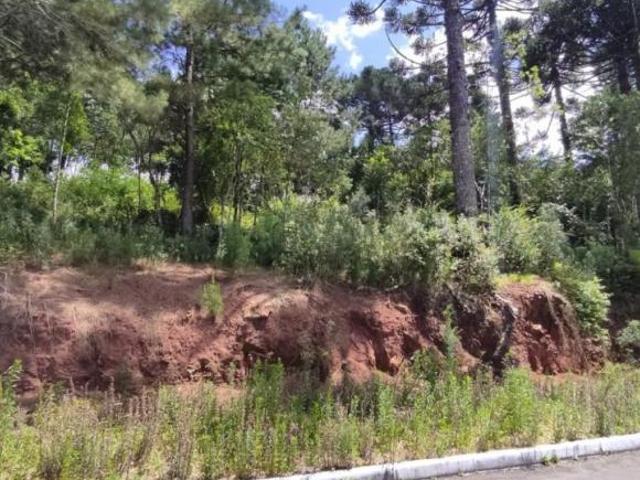 Terreno venda em Região Geográfica Imediata de Caxias do Sul, Gramado