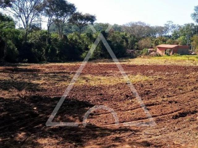 Terreno venda em Conchal