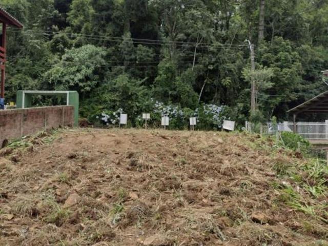 Terreno venda em Canela