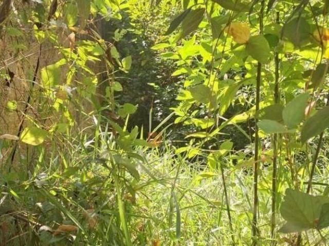 Terreno venda em Região Imediata de Sorocaba, Região Metropolitana de Sorocaba