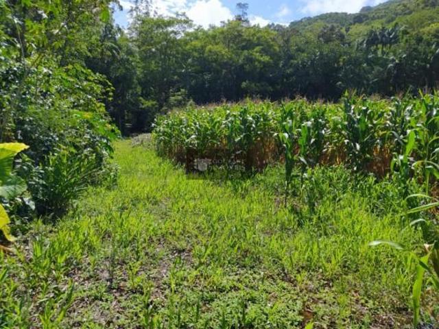Terreno venda em Região Geográfica Imediata de Tramandaí - Osório, Aglomeração Urbana do Litoral Norte