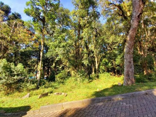 Terreno venda em Região Geográfica Imediata de Caxias do Sul, Canela
