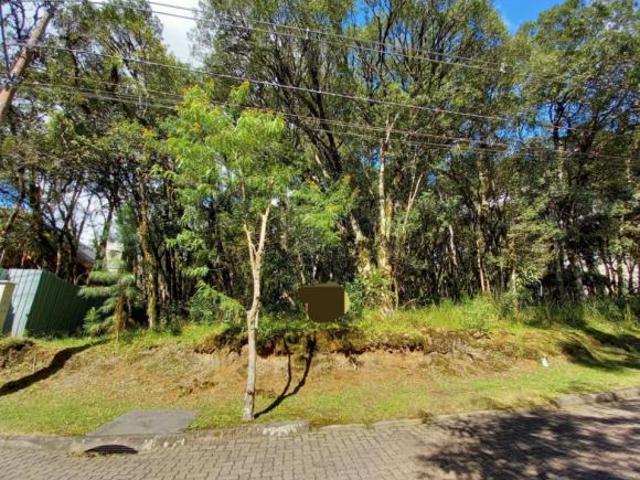Terreno venda em Região Geográfica Imediata de Caxias do Sul, Canela
