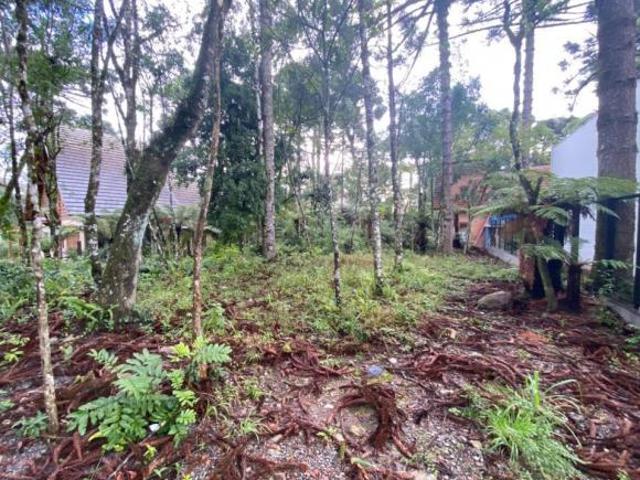 Terreno venda em Região Geográfica Imediata de Caxias do Sul, Gramado