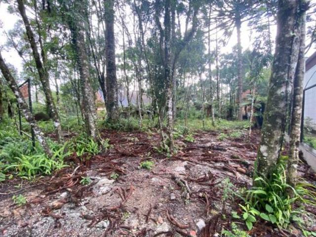 Terreno venda em Gramado