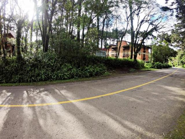 Terreno venda em Gramado