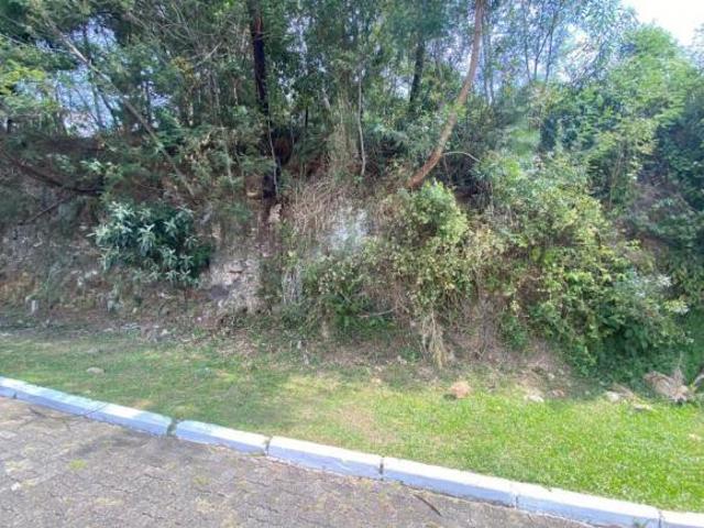 Terreno venda em Gramado
