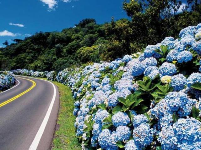 Terreno venda em Região Geográfica Imediata de Caxias do Sul, Gramado
