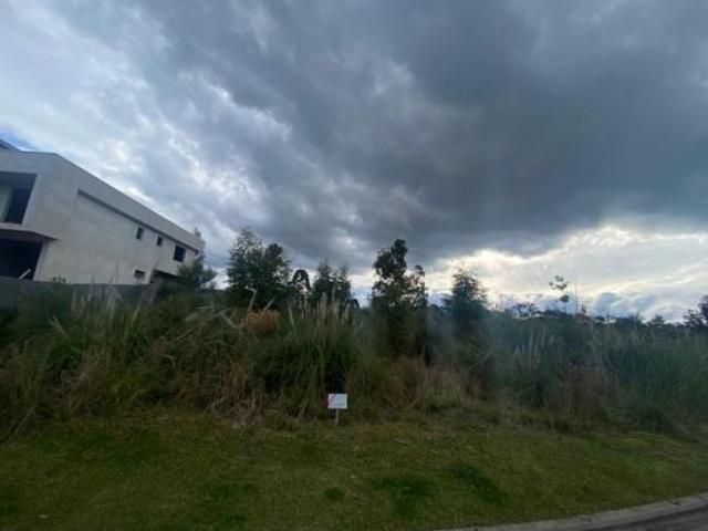 Terreno venda em Região Geográfica Imediata de Caxias do Sul, Gramado
