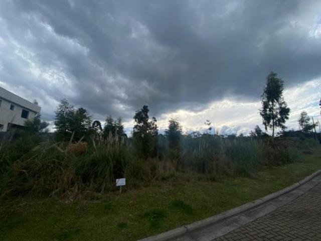 Terreno venda em Região Geográfica Imediata de Caxias do Sul, Gramado