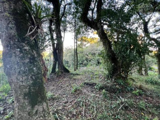 Terreno venda em Região Geográfica Imediata de Caxias do Sul, Canela