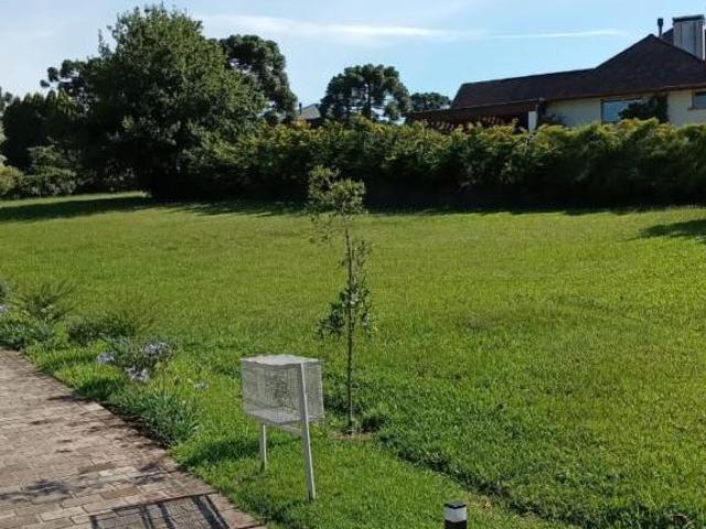 Terreno venda em Quinta da Serra, Canela