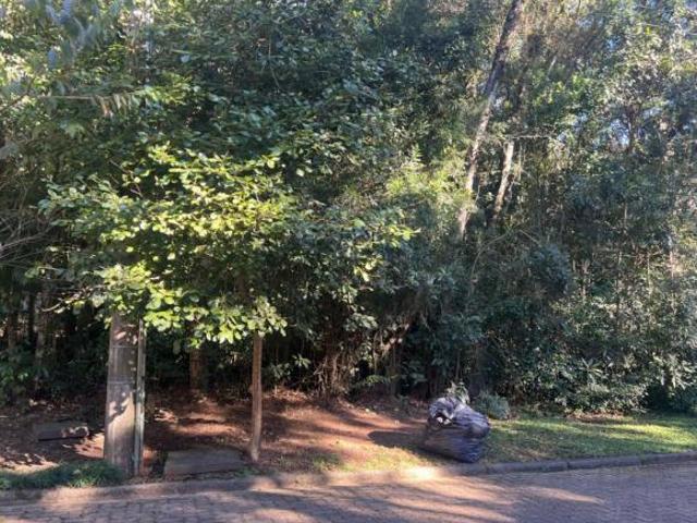 Terreno venda em Região Geográfica Imediata de Caxias do Sul, Canela
