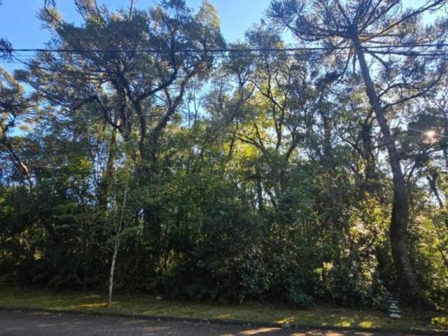 Terreno venda em Região Geográfica Imediata de Caxias do Sul, Canela