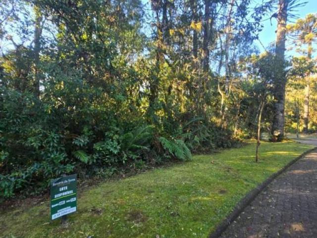 Terreno venda em Região Geográfica Imediata de Caxias do Sul, Canela