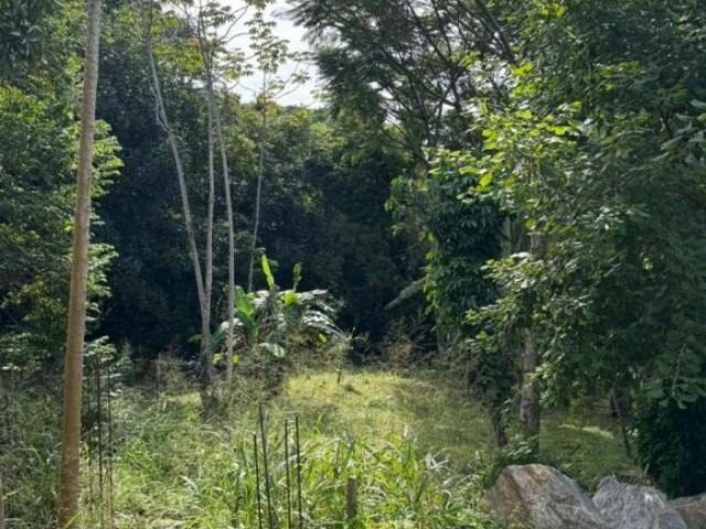 Terreno venda em Região Imediata de Caraguatatuba-Ubatuba-São Sebastião, Região Metropolitana do Vale do Paraíba e Litoral Norte