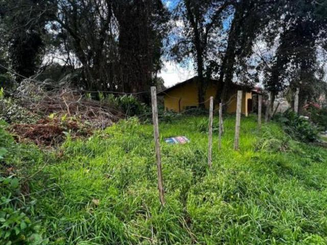 Terreno venda em Região Geográfica Imediata de Caxias do Sul, Canela