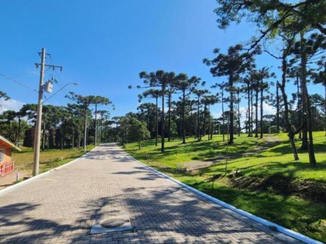 Terreno venda em Canela