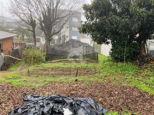 Terreno venda em Região Geográfica Imediata de Caxias do Sul, Farroupilha