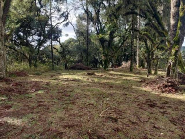 Terreno venda em Região Geográfica Imediata de Caxias do Sul, Canela