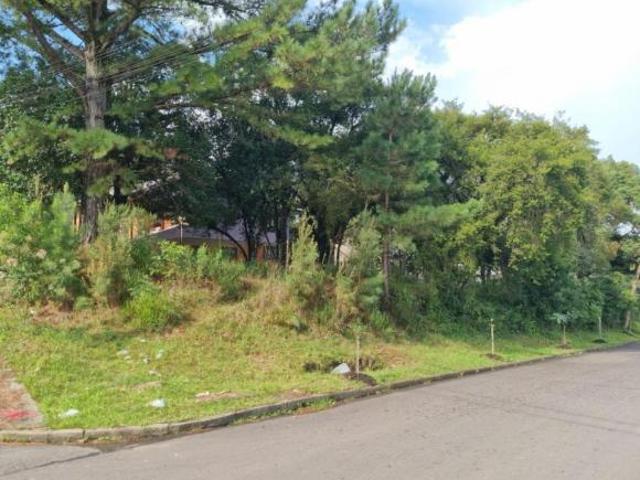 Terreno venda em Região Geográfica Imediata de Caxias do Sul, Canela
