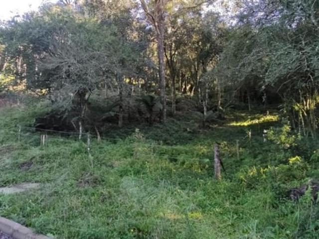 Terreno venda em Região Geográfica Imediata de Caxias do Sul, Canela