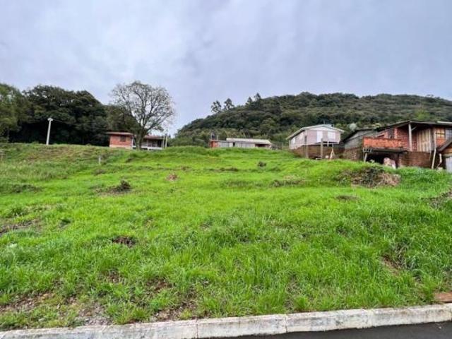 Terreno venda em Gramado