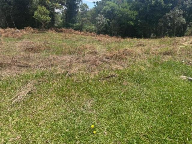 Terreno venda em Região Geográfica Imediata de Caxias do Sul, Gramado