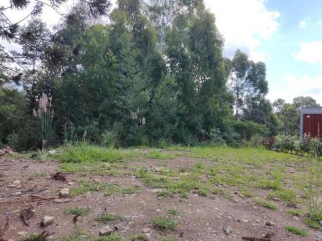 Terreno venda em Região Geográfica Imediata de Caxias do Sul, Gramado