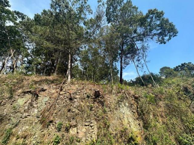 Terreno venda em Gramado