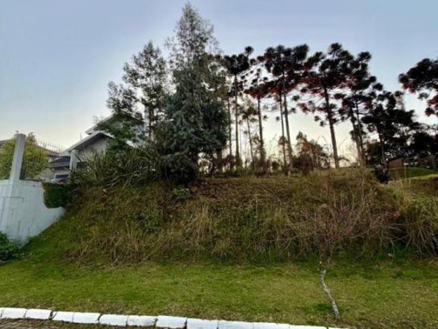Terreno venda em Gramado