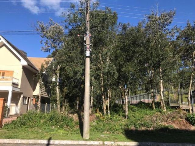 Terreno venda em Gramado