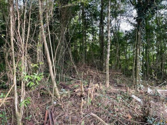 Terreno venda em Região Geográfica Imediata de Caxias do Sul, Gramado