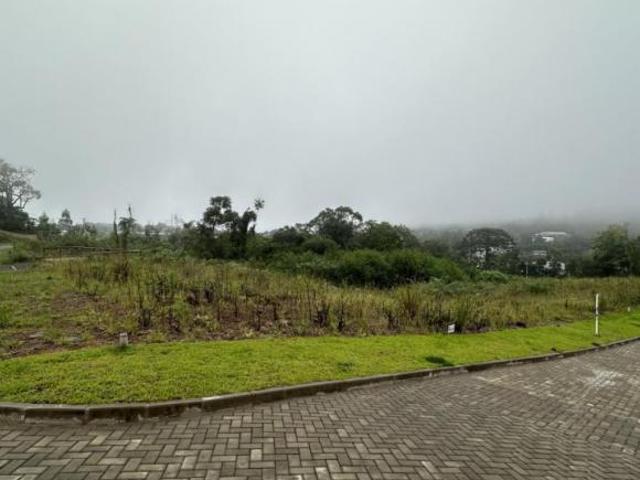 Terreno venda em Região Geográfica Imediata de Caxias do Sul, Gramado