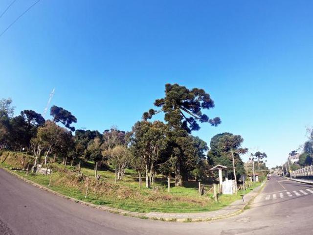 Terreno venda em Canela