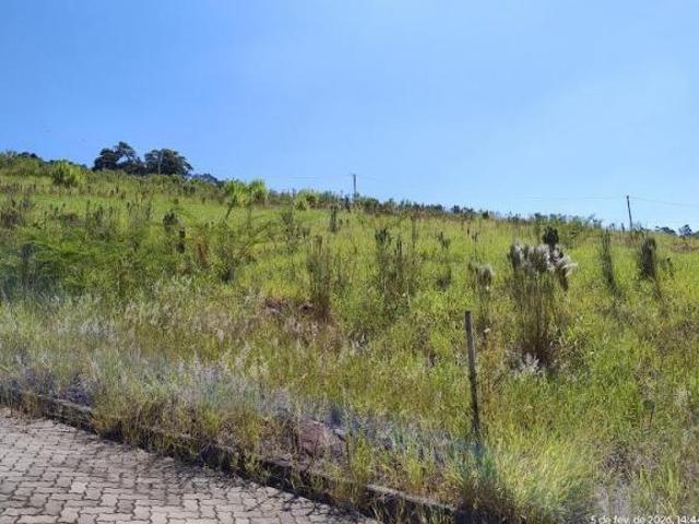Terreno venda em Região Geográfica Imediata de Montenegro, Região Metropolitana de Porto Alegre