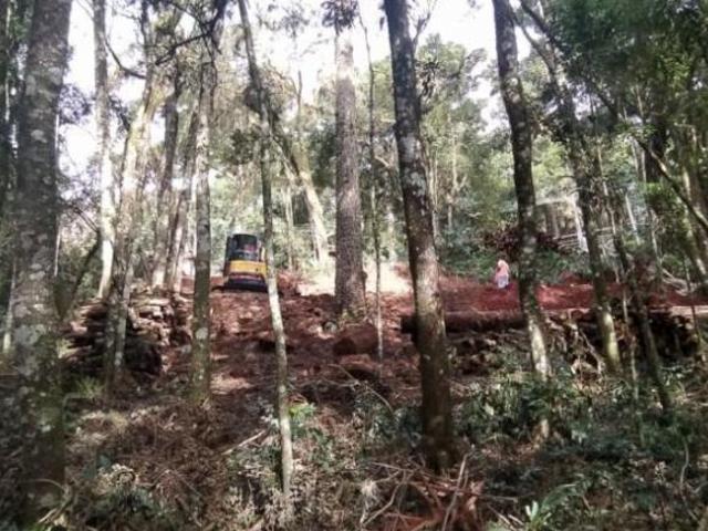 Terreno venda em Região Geográfica Imediata de Caxias do Sul, Canela