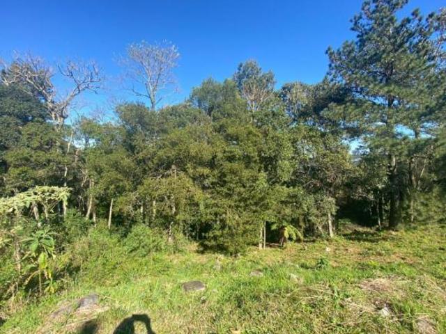 Terreno venda em Região Geográfica Imediata de Caxias do Sul, Canela