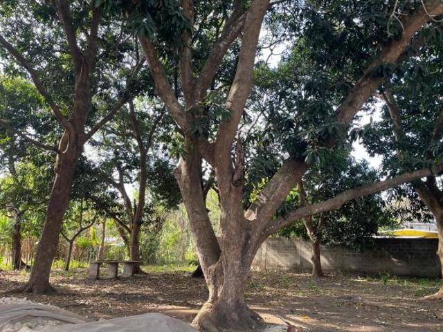 Terreno en venta en San Andrés Tuxtla, Veracruz