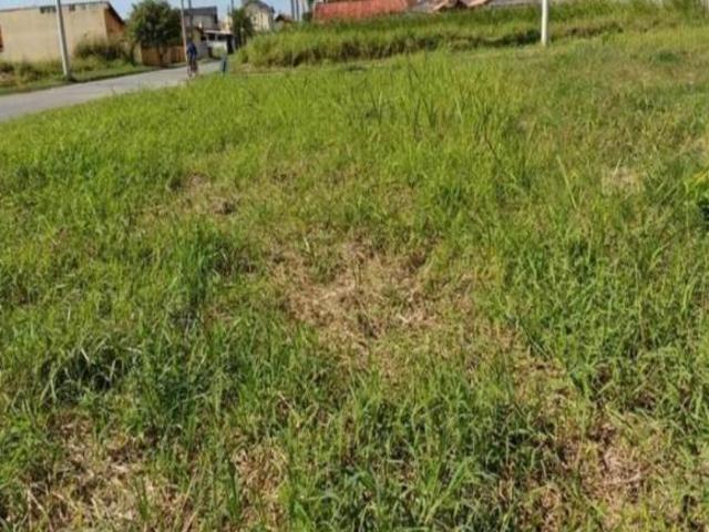 Terreno venda em Ilha Comprida